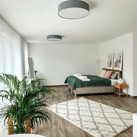Sali Homes Elegant And Stylish Retreat In Heart Of Bayreuth, Close To River Байройт