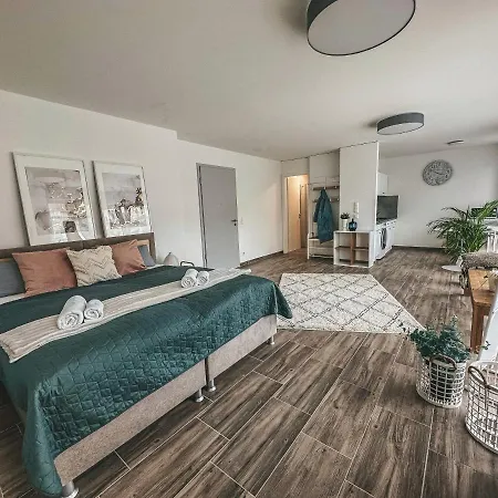 Sali Homes Am1 Elegant And Stylish Retreat In Heart Of Bayreuth, Close To River Bayreuth