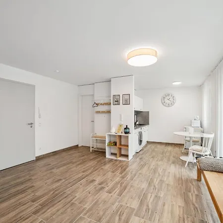 Sali Homes Elegant And Stylish Retreat In Heart Of Bayreuth, Close To River Апартаменты Байройт