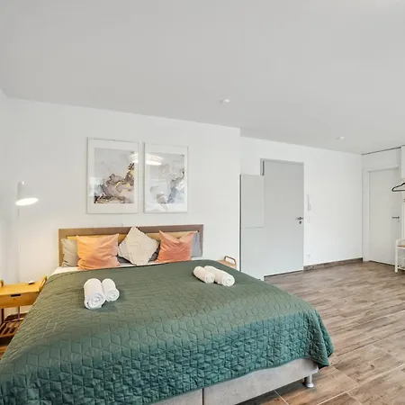 Sali Homes Am1 Elegant And Stylish Retreat In Heart Of Bayreuth, Close To River Bayreuth